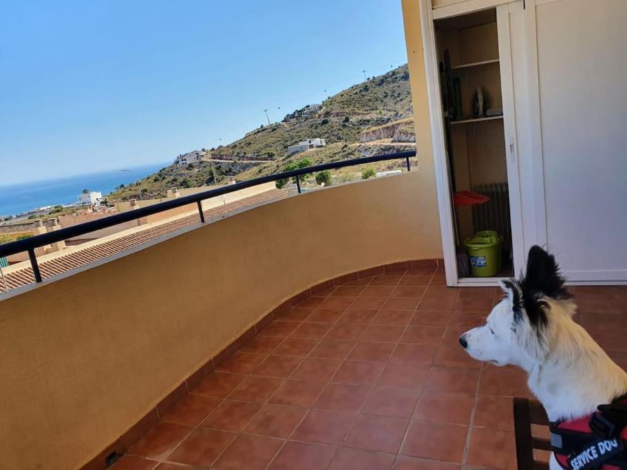 2 En Apartament *